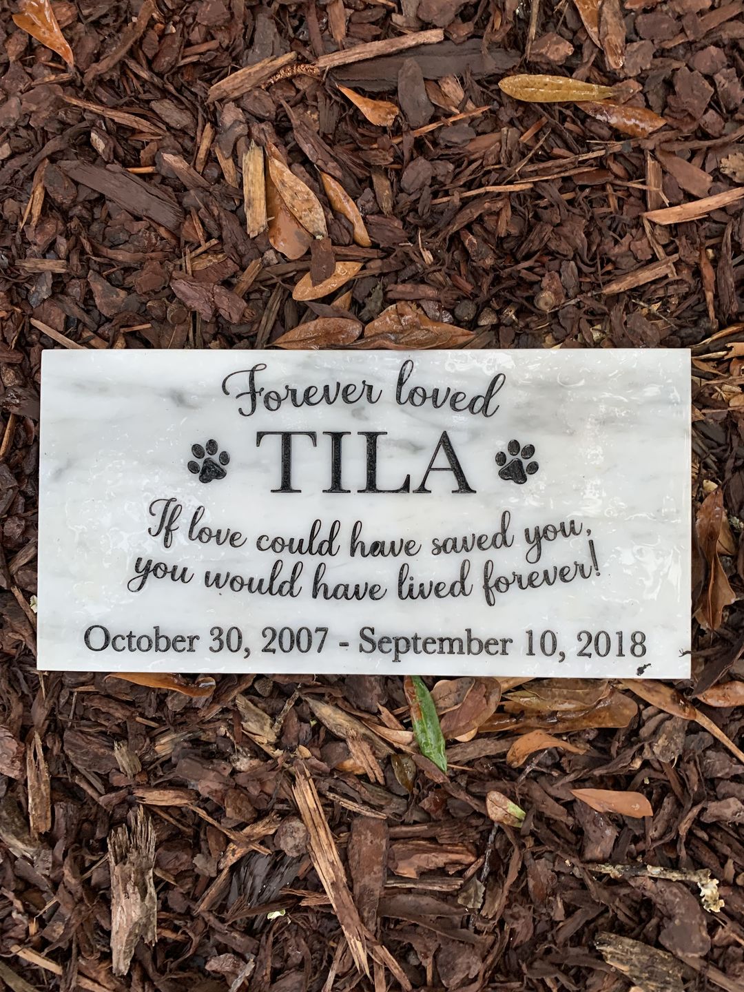 Customer photo review of Grave Marker, Pet headstones, Custom Outdoor Engraved Pet Stone In Loving Memory