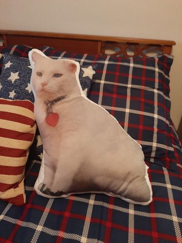 Customer photo review of Create A Custom Cat Pillow