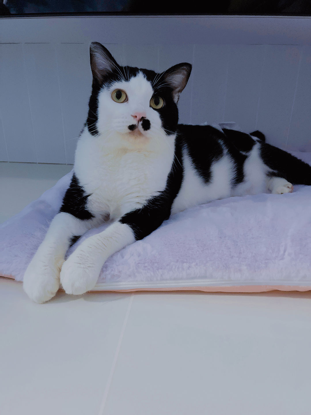 Customer photo review of Sleeping Blanket