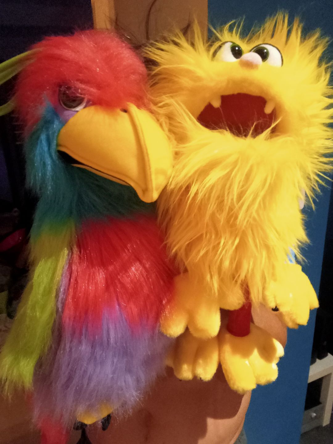 Customer photo review of Oiseau de paradis Marionnette