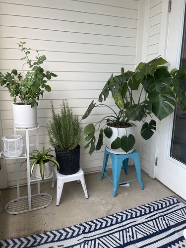 Customer photo review of 12” Signature Stone Planter