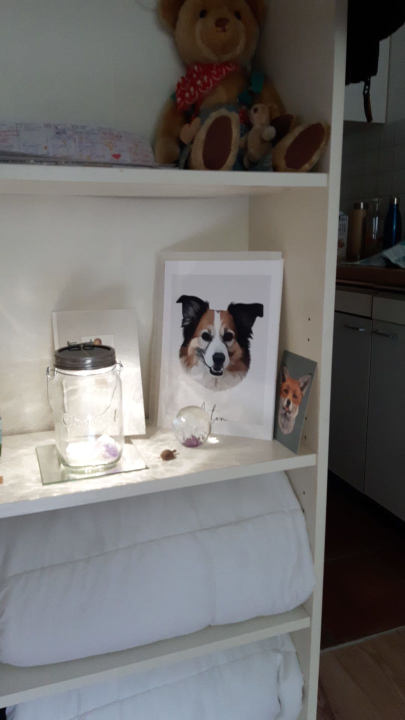 Customer photo review of Portrait deines Tieres