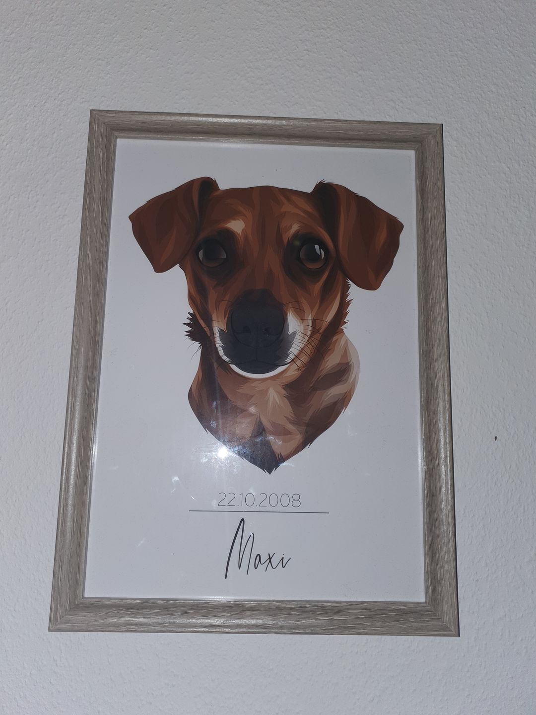 Customer photo review of Portrait deines Tieres