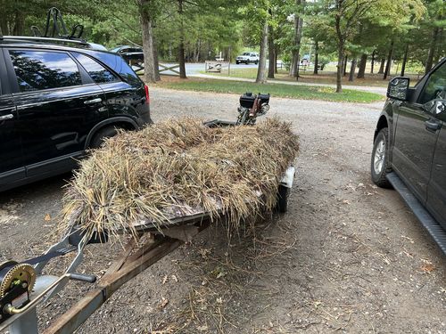 Customer photo review of Hunting Blind Raffia Grass (Pack)