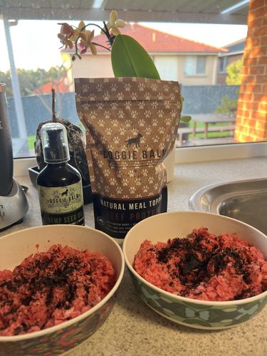 Customer photo review of Beef Protein Natural Meal Topper + Scoop