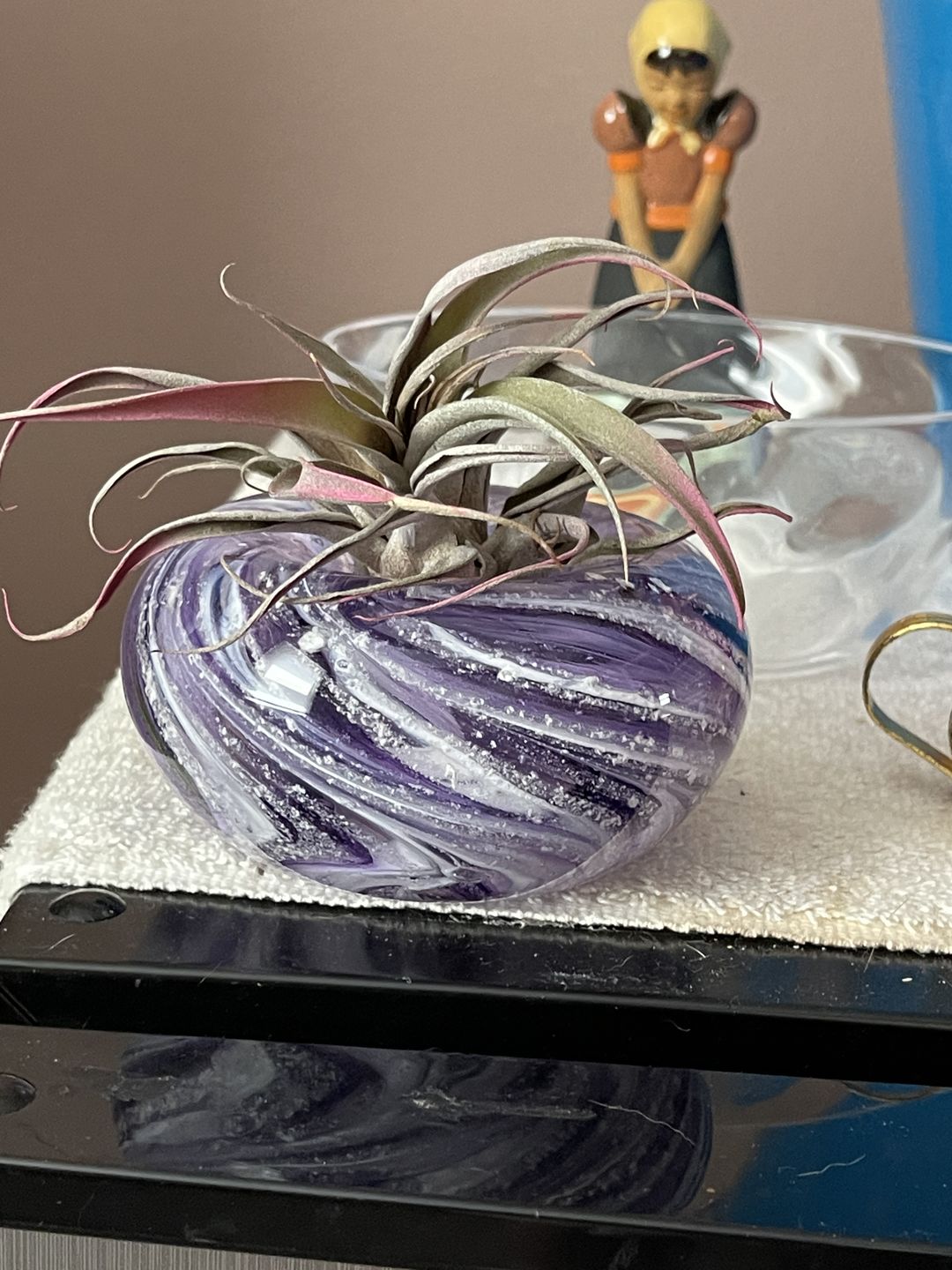 Customer photo review of Medium Air Plant Planter with Cremation Ashes