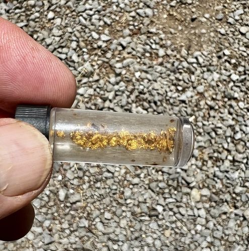 Customer photo review of Nugget Reserve 'MUSEUM SPECIMEN CHASE' - Gold Panning Paydirt Concentrate