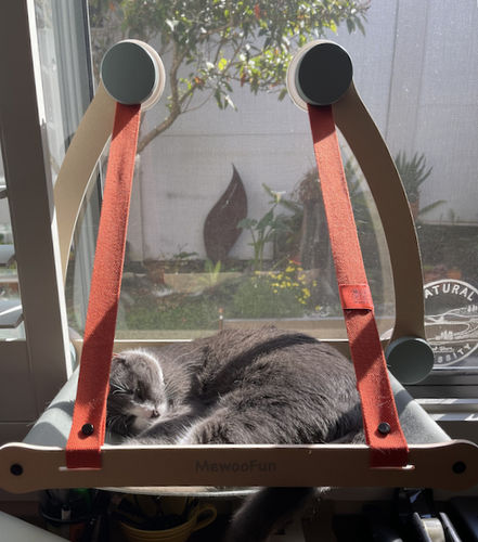 Customer photo review of Supermarcat Sturdy Cat Window Perch Hammock