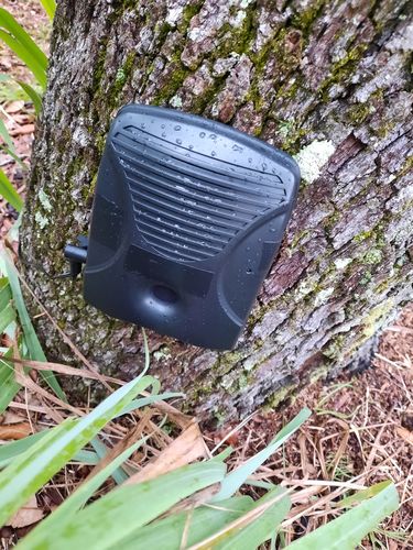 Customer photo review of Dog Silencer® MAX