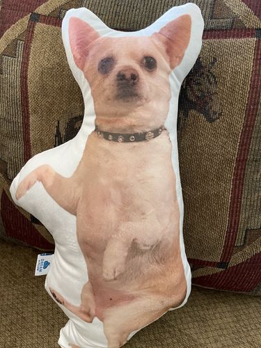 Customer photo review of Create A Custom Dog Pillow
