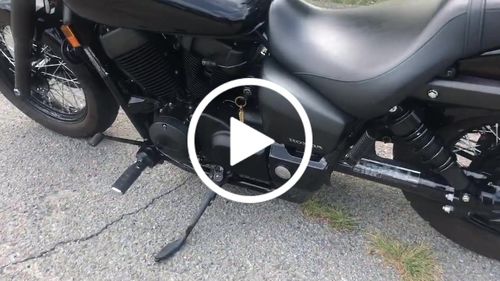 Customer video review of Brass Rattlesnake Tail Pendant
