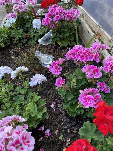 Customer photo review of Mon petit oiseau - Le Jardin de Mamie®