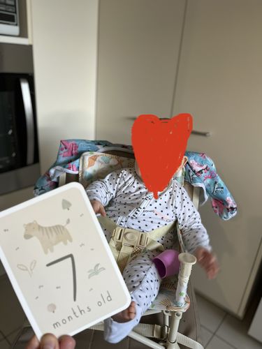 Customer photo review of Sailor baby chair v2