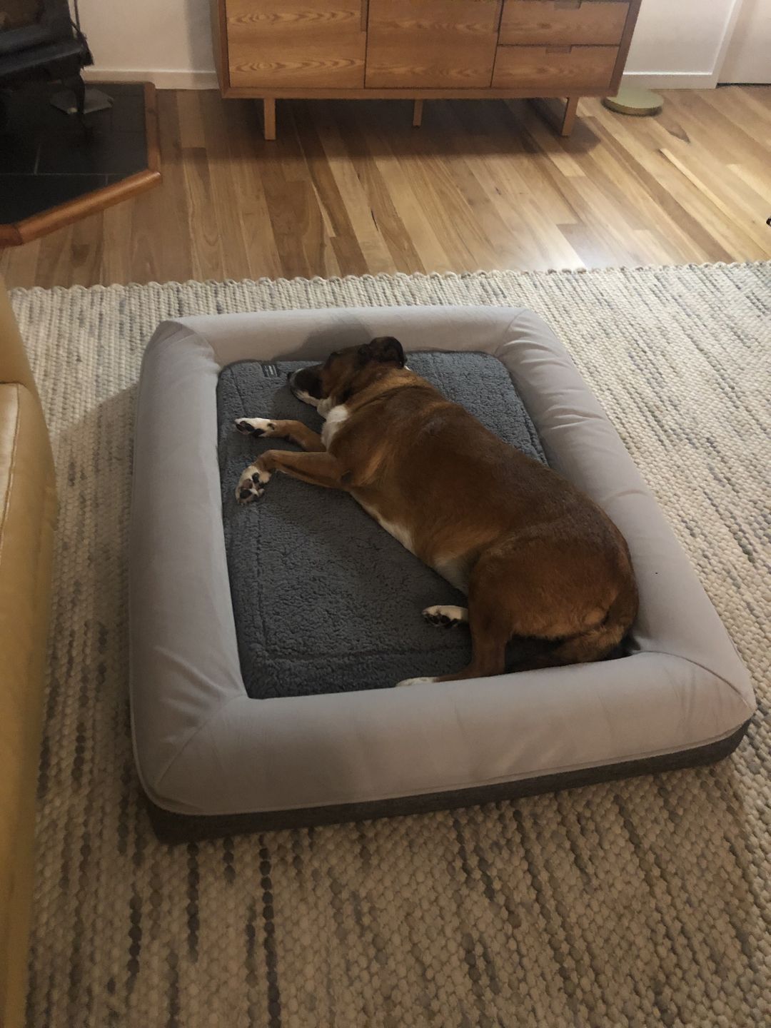 Customer photo review of Kangaroo Bed - Large