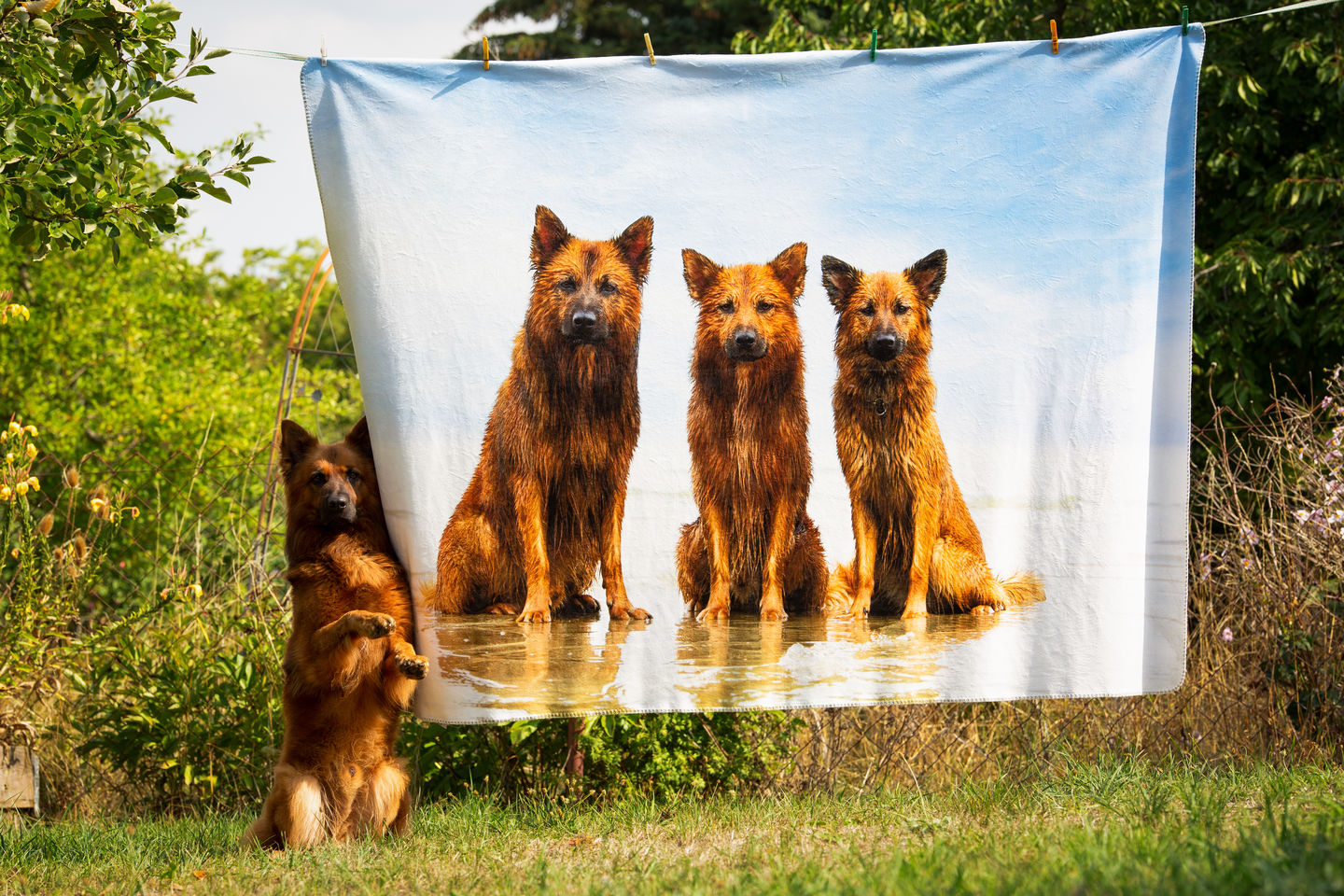 Customer photo review of Eigenes Foto - Individuelle Decke