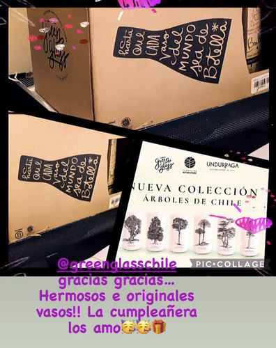 Customer photo review of Juego de 6 Vasos Árboles de Chile