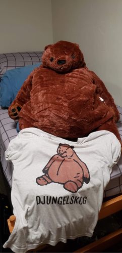 Customer photo review of SKOGGY BEAR