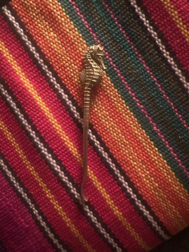 Customer photo review of Brass Seahorse Ear Pick