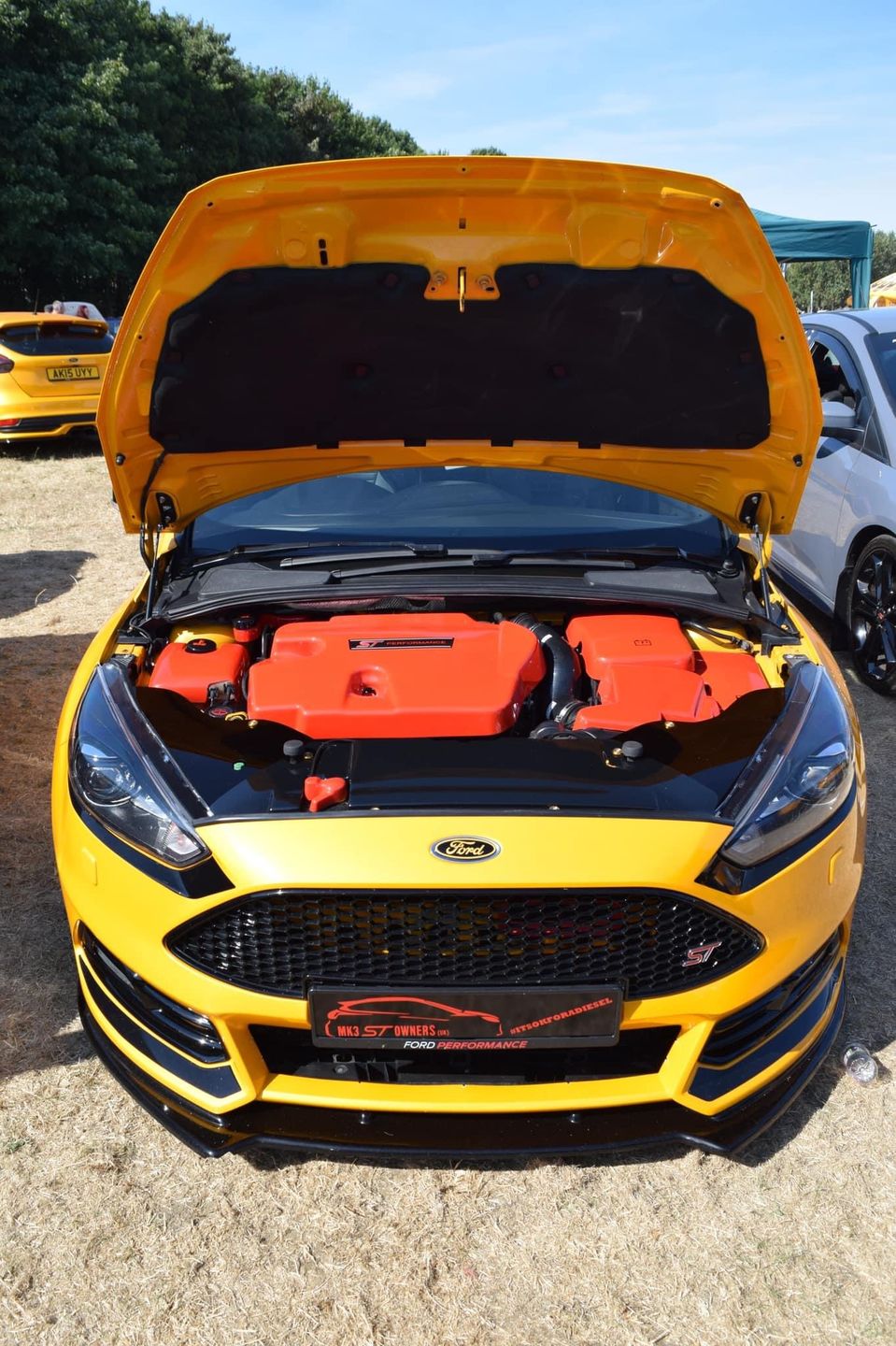 Customer photo review of Proform Engine Cover - MK3.5 Focus ST Diesel (various colours)