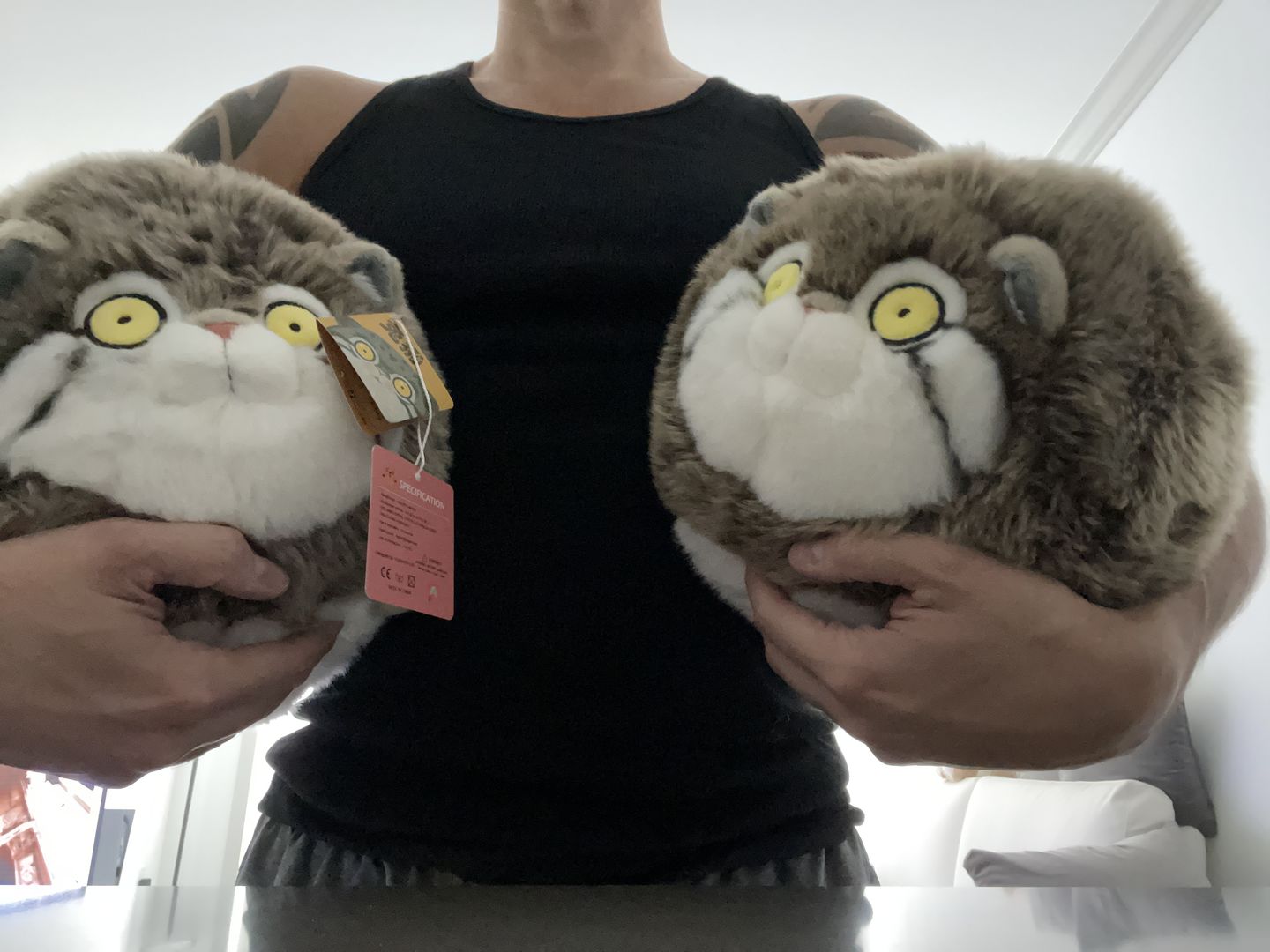 Customer photo review of Chubby Pallas's Cat Stuffed Animal Plush