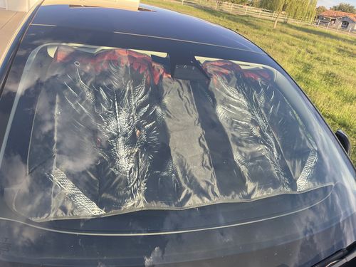 Customer photo review of Dragon Car Sunshade Custom Car Accessories