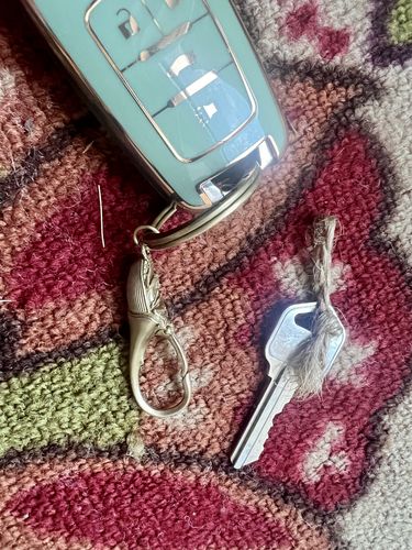 Customer photo review of Brass Beetle Snap Keychain