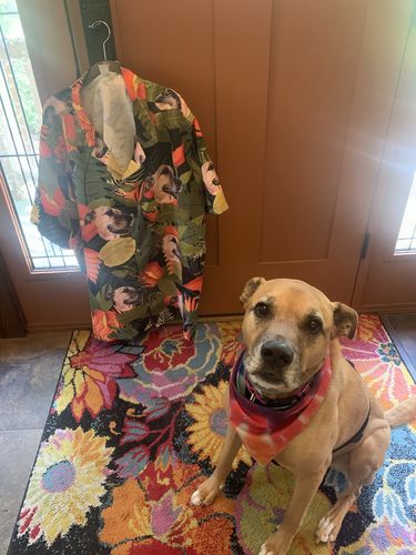 Customer photo review of Custom Hawaiian Shirt (Lush Moss: 1-4 Pets)
