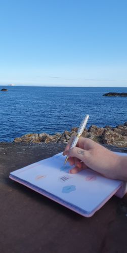 Customer photo review of Pink Croc - Planning Journal