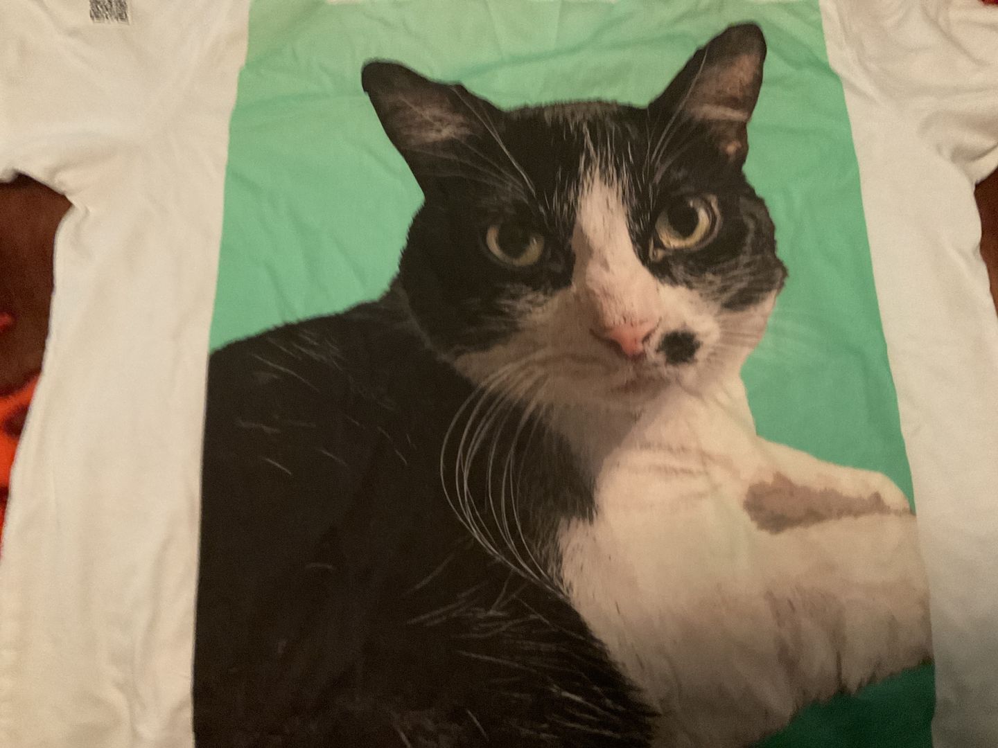 Customer photo review of Custom Pet Art Mens Crew Neck T-shirt