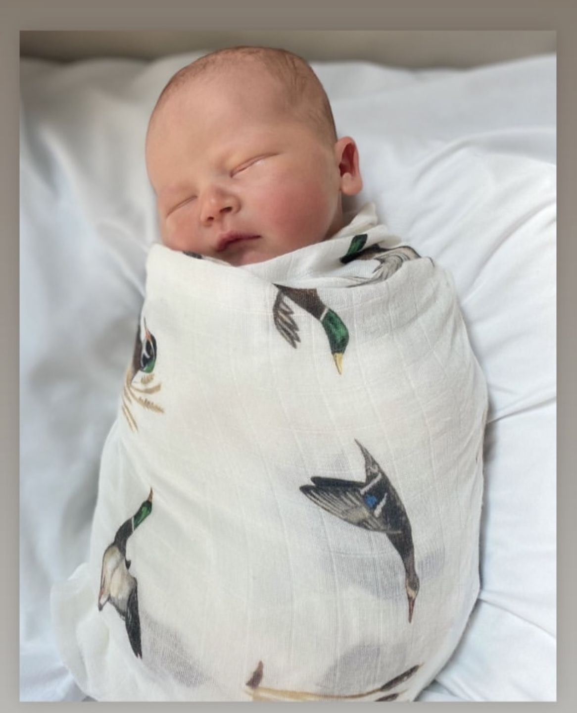 Customer photo review of Diving Ducks - Swaddle