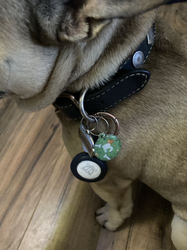 Customer photo review of Autumn