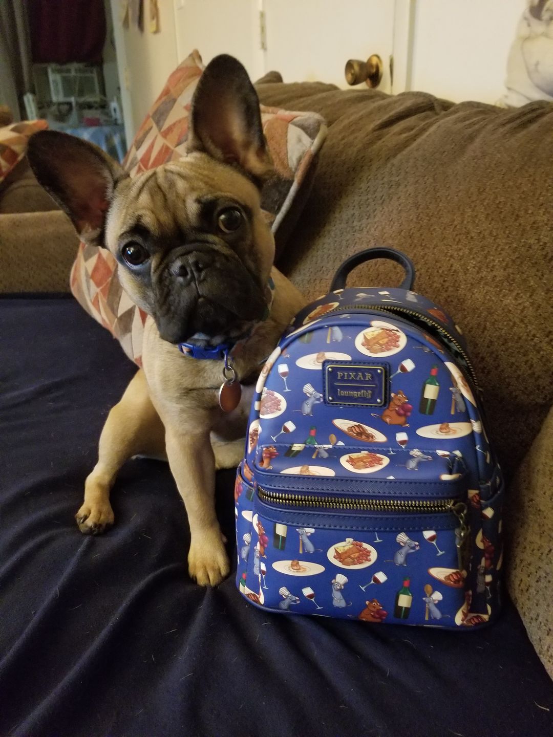 Customer photo review of 707 Street Exclusive -  Loungefly Disney Pixar Ratatouille Remy and Emile Allover Print Mini Backpack