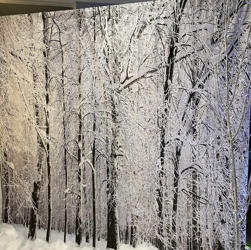 Customer photo review of Kate Winter Snowy Trees Scenery for Photography