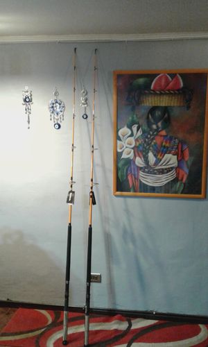 Customer photo review of Daiwa Rod-Ft Boat 2,10Mt