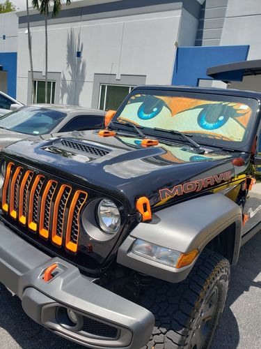 Customer photo review of Orange Glam Cartoon Eyes Car Sunshade Custom Cute Eyes Car Accessories