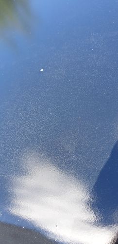 Customer photo review of Decontamination Kit