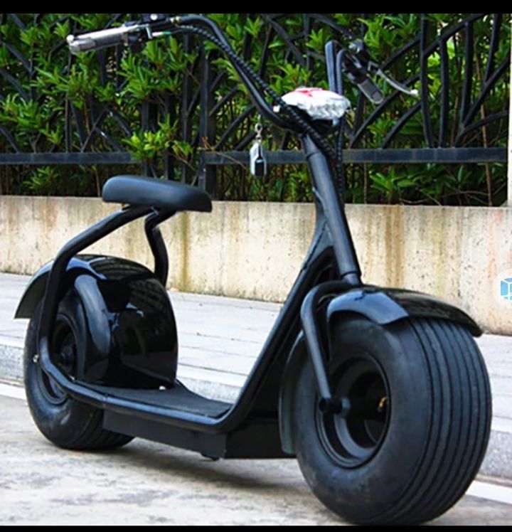Customer photo review of Fat Tire Lithium Commuter Scooter SoverSky SL01