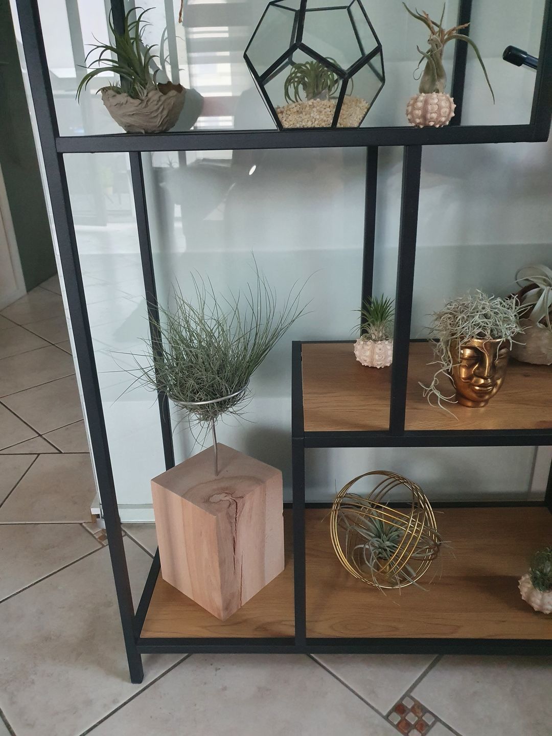 Customer photo review of Tilly Xylo - Gigant