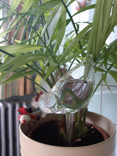 Customer photo review of Mon petit oiseau - Le Jardin de Mamie®