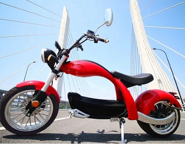 Customer photo review of SoverSky M5 Lithium Chopper Fat Tire Scooter