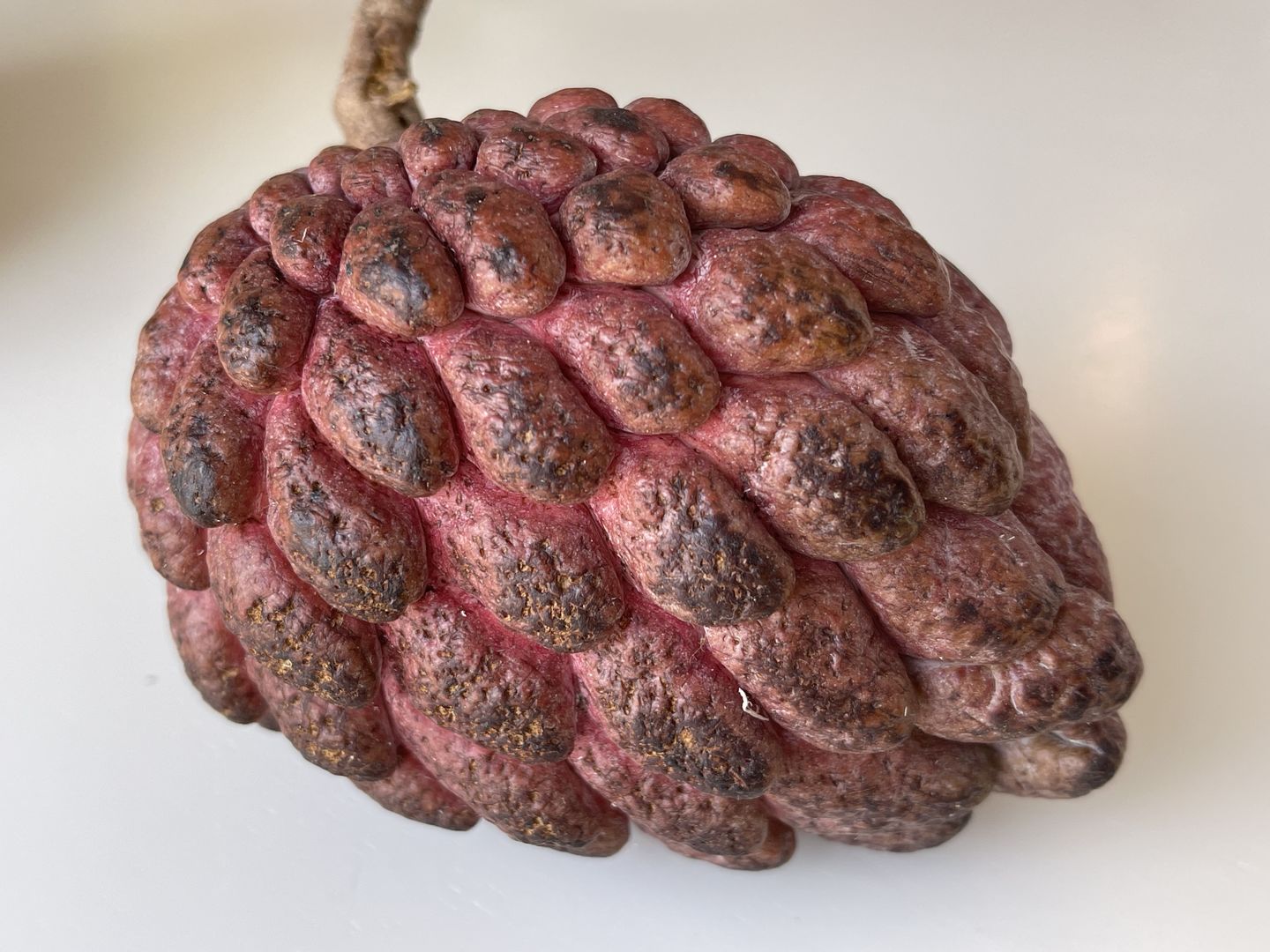 Customer photo review of Sugar Apple (Sweetsop) Box