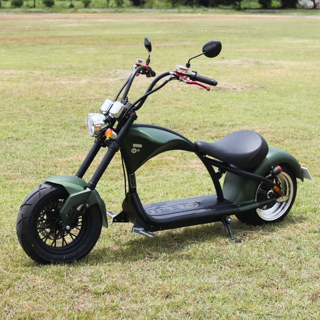 Customer photo review of M1 2000w Electric Fat Tire Scooter Chopper Citycoco