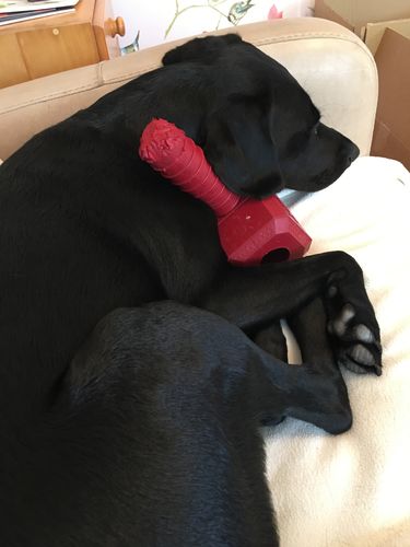 Customer photo review of The Fenrir Hammer