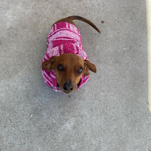 Customer photo review of Playa Poncho - Sunset Rosa