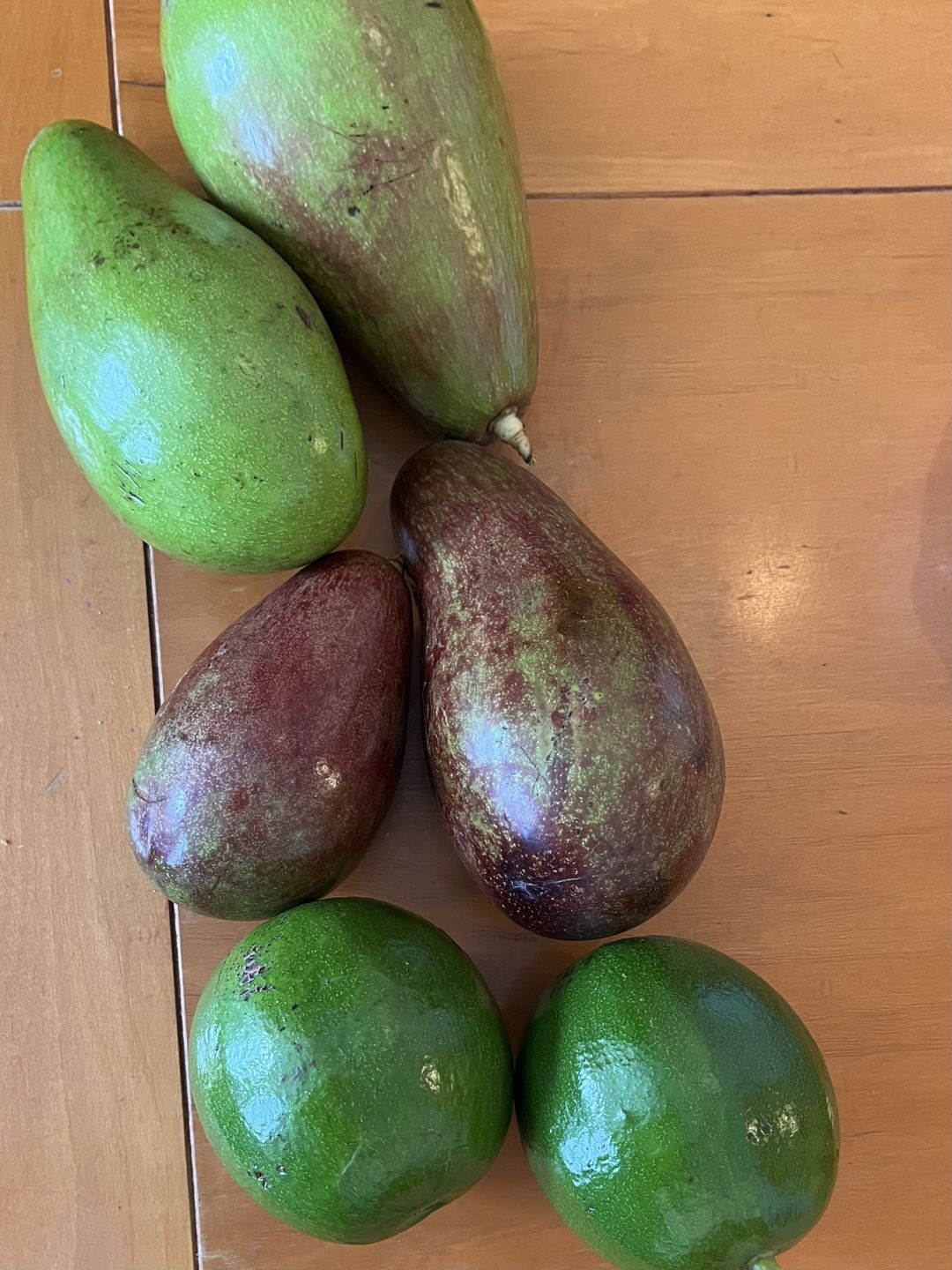 Customer photo review of Avocado Box