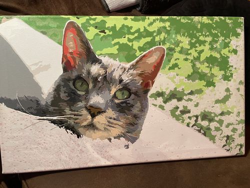 Customer photo review of Custom Paint by Numbers Kit
