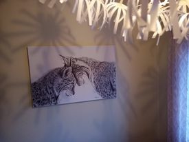 Customer photo review of Lynx in love illustration - "Social Animal" Collection