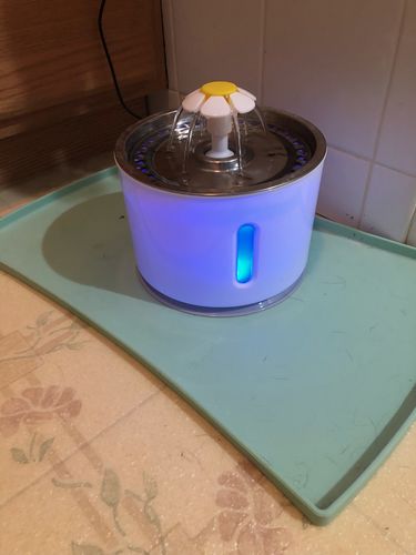 Customer photo review of Cat Flower Fountain