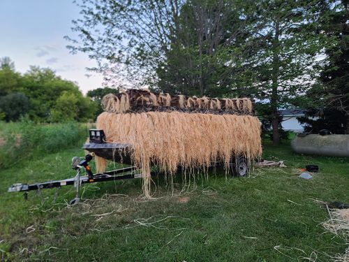 Customer photo review of Hunting Blind Raffia Grass (Pack)