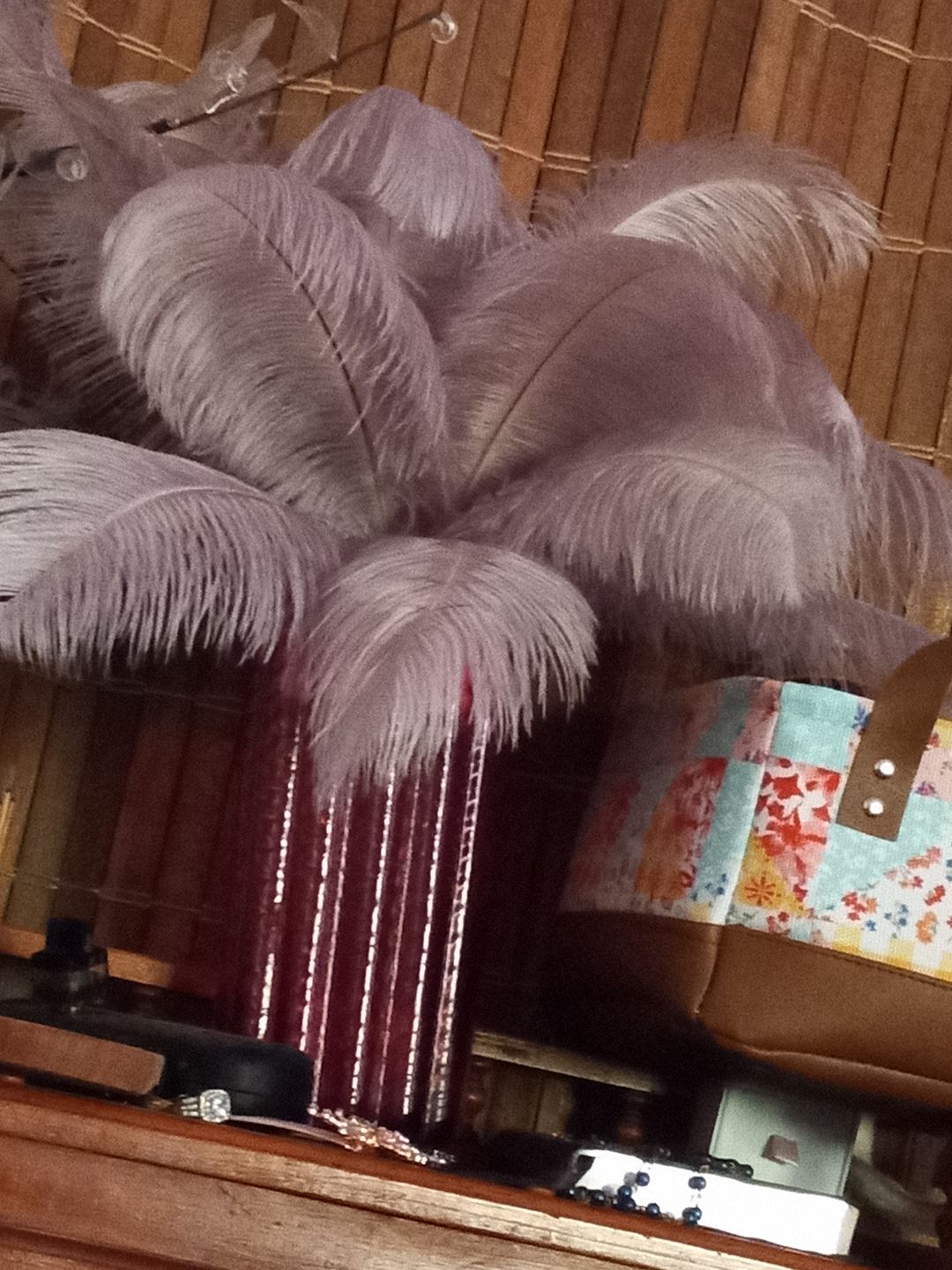 Customer photo review of Ostrich Tail Feathers